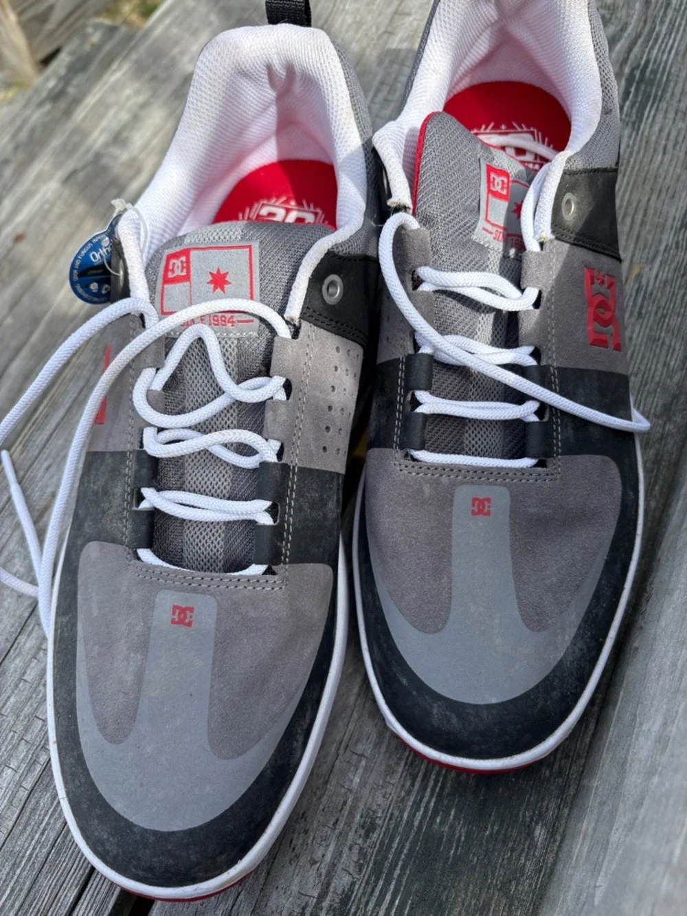 DC Men’s Gray, Black & Red Skate Sneakers - Picture 1 of 5